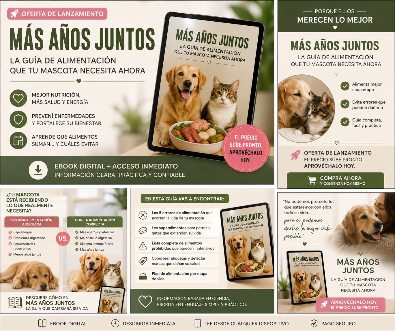 Más Años Juntos — La Guía de Alimentación que tu Mascota Necesita Ahora